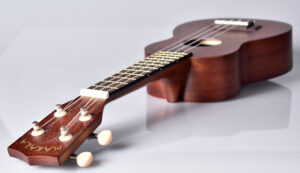 Best Concert Ukulele For Beginners