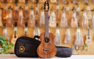 Best Professional Tenor Ukulele