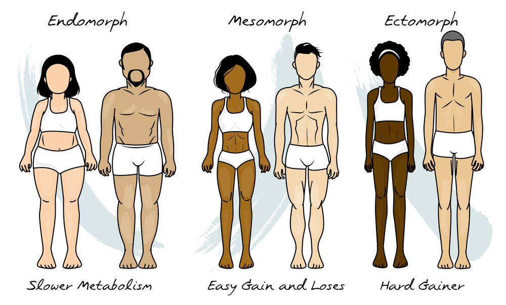 Endomorphs