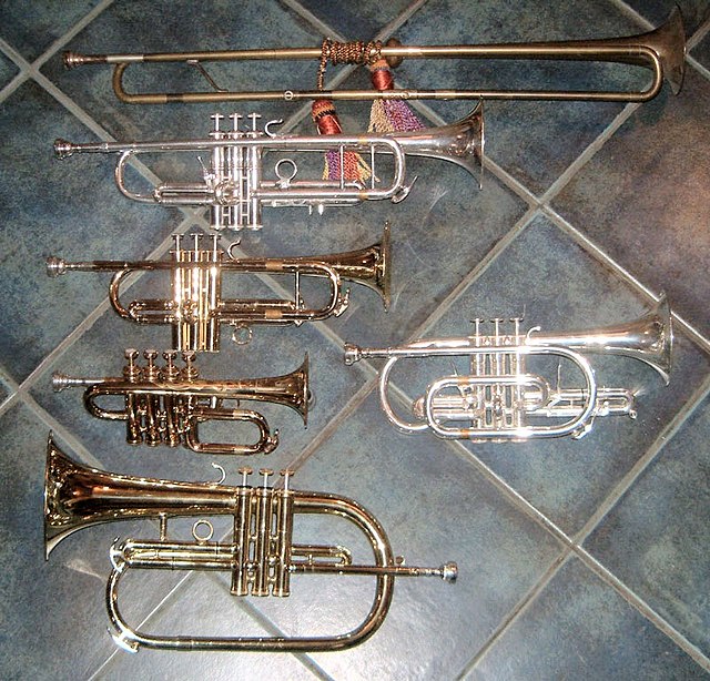 Best Brass Instrument List