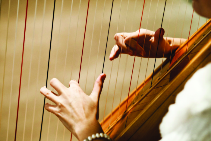 nylon harp