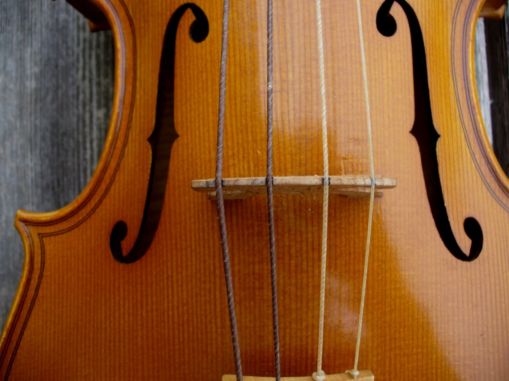 What Are Violin Strings Made Of